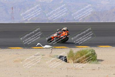 media/Nov-05-2022-SoCal Trackdays (Sat) [[f8d9b725ab]]/Bowl (1145am)/